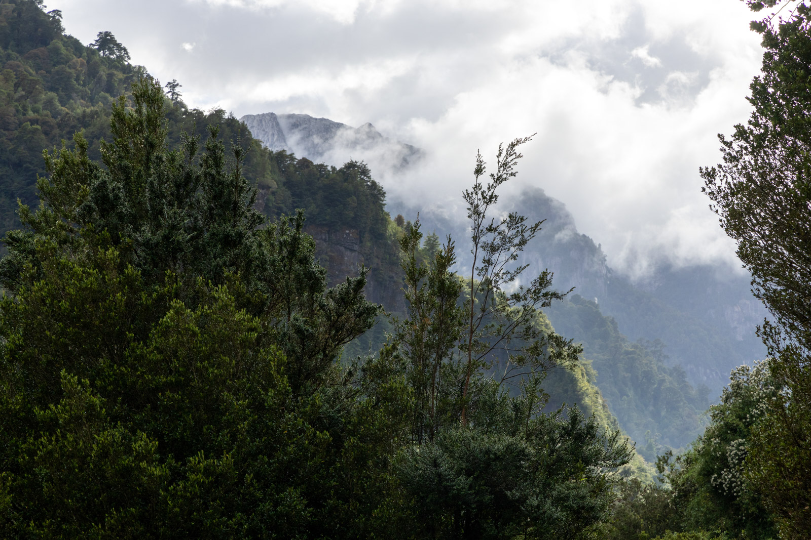 South America mountains